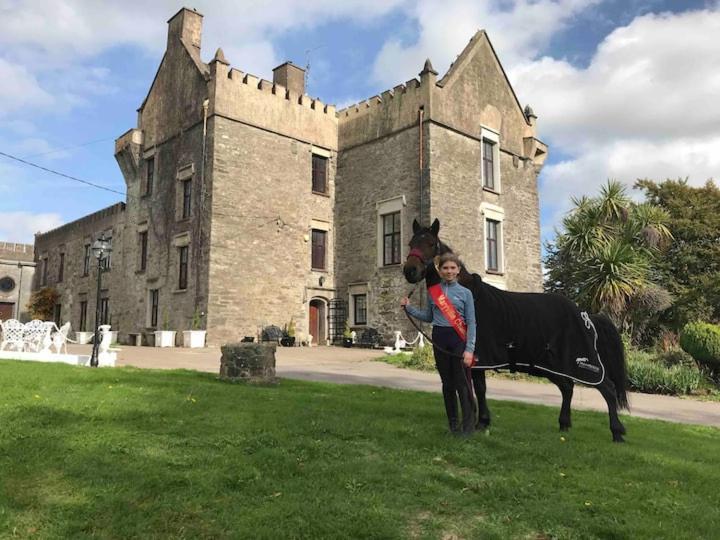 Ballea Castle Cork Exteriör bild